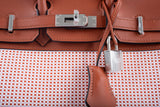 Hermes Birkin 25 Limited Edition Brique, Écru, Mauve Sylvestre Toile Quadrille and Terre Battue Swift Leather Palladium Hardware