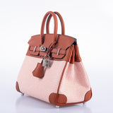 Hermes Birkin 25 Limited Edition Brique, Écru, Mauve Sylvestre Toile Quadrille and Terre Battue Swift Leather Palladium Hardware