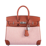 Hermes Birkin 25 Limited Edition Brique, Écru, Mauve Sylvestre Toile Quadrille and Terre Battue Swift Leather Palladium Hardware