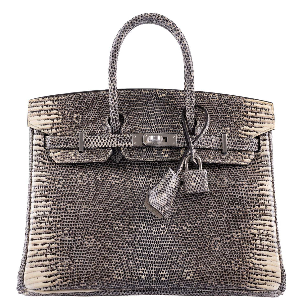 Hermes Birkin 25 Ombré Lizard Palladium Hardware