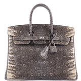 Hermes Birkin 25 Ombré Lizard Palladium Hardware