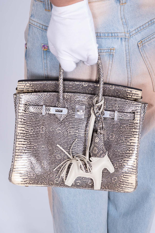 Hermes Birkin 25 Ombré Lizard Palladium Hardware