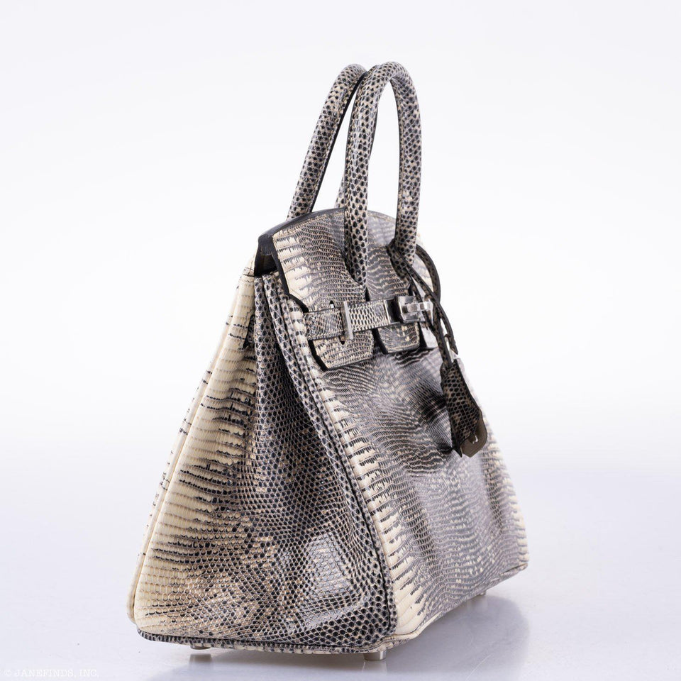Hermes Birkin 25 Ombré Lizard Palladium Hardware