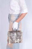 Hermes Birkin 25 Ombré Lizard Palladium Hardware