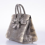 Hermes Birkin 25 Ombré Lizard Palladium Hardware