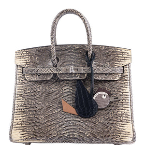 Hermes Birkin 25 Ombré Lizard Palladium Hardware