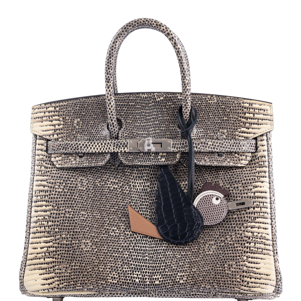Hermes Birkin 25 Ombré Lizard Palladium Hardware