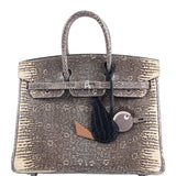 Hermes Birkin 25 Ombré Lizard Palladium Hardware