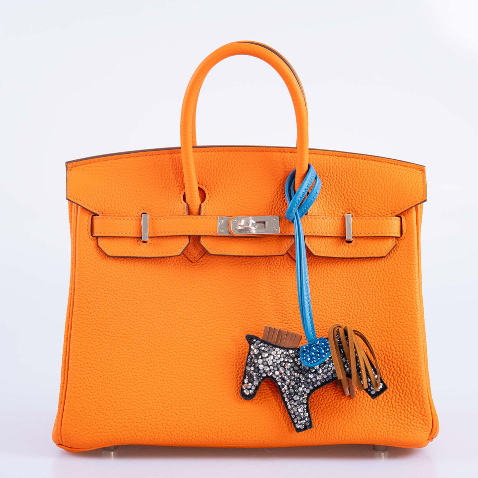 Hermes Birkin 25 Orange Minium Togo Palladium Hardware