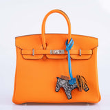 Hermes Birkin 25 Orange Minium Togo Palladium Hardware