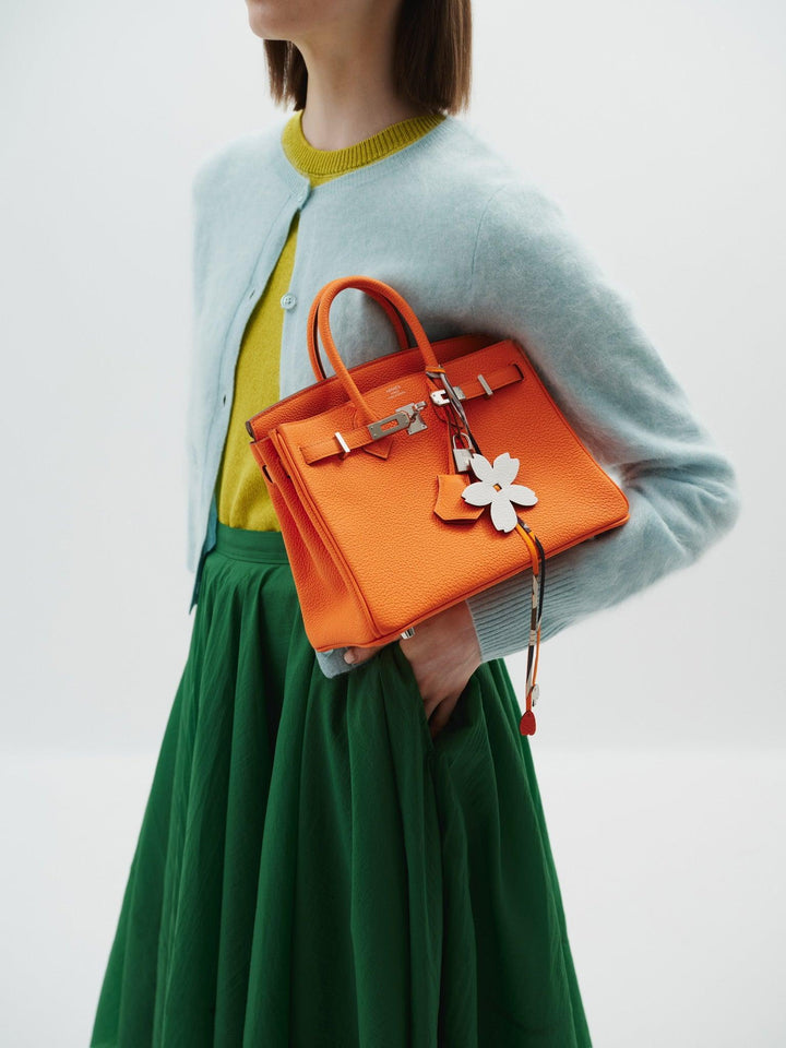 Hermes Birkin 25 Orange Minium Togo Palladium Hardware