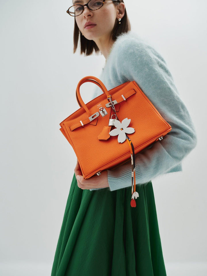 Hermes Birkin 25 Orange Minium Togo Palladium Hardware