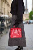 Hermes Birkin 25 Rouge Exotique Nilo Lizard Palladium Hardware