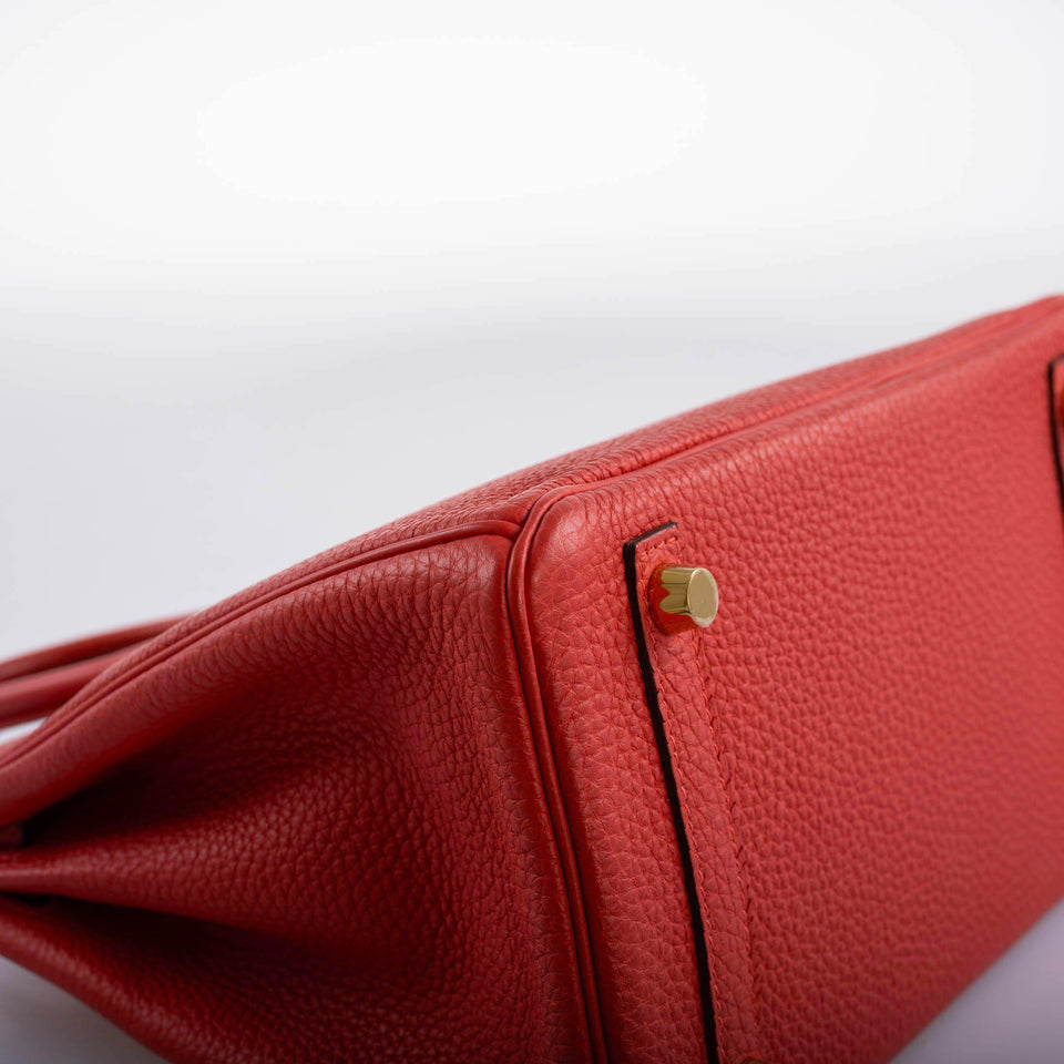 Hermes Birkin 25 Rouge Pivoine Togo Gold Hardware - 2015, T