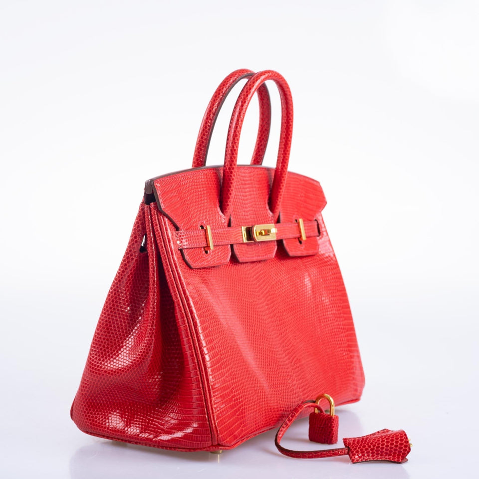 Hermes Birkin 25 Rouge Vif Salvator Lizard Gold Hardware