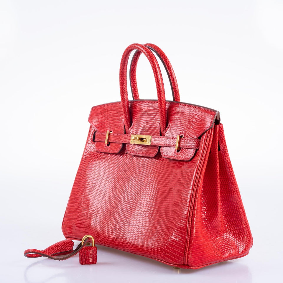 Hermes Birkin 25 Rouge Vif Salvator Lizard Gold Hardware