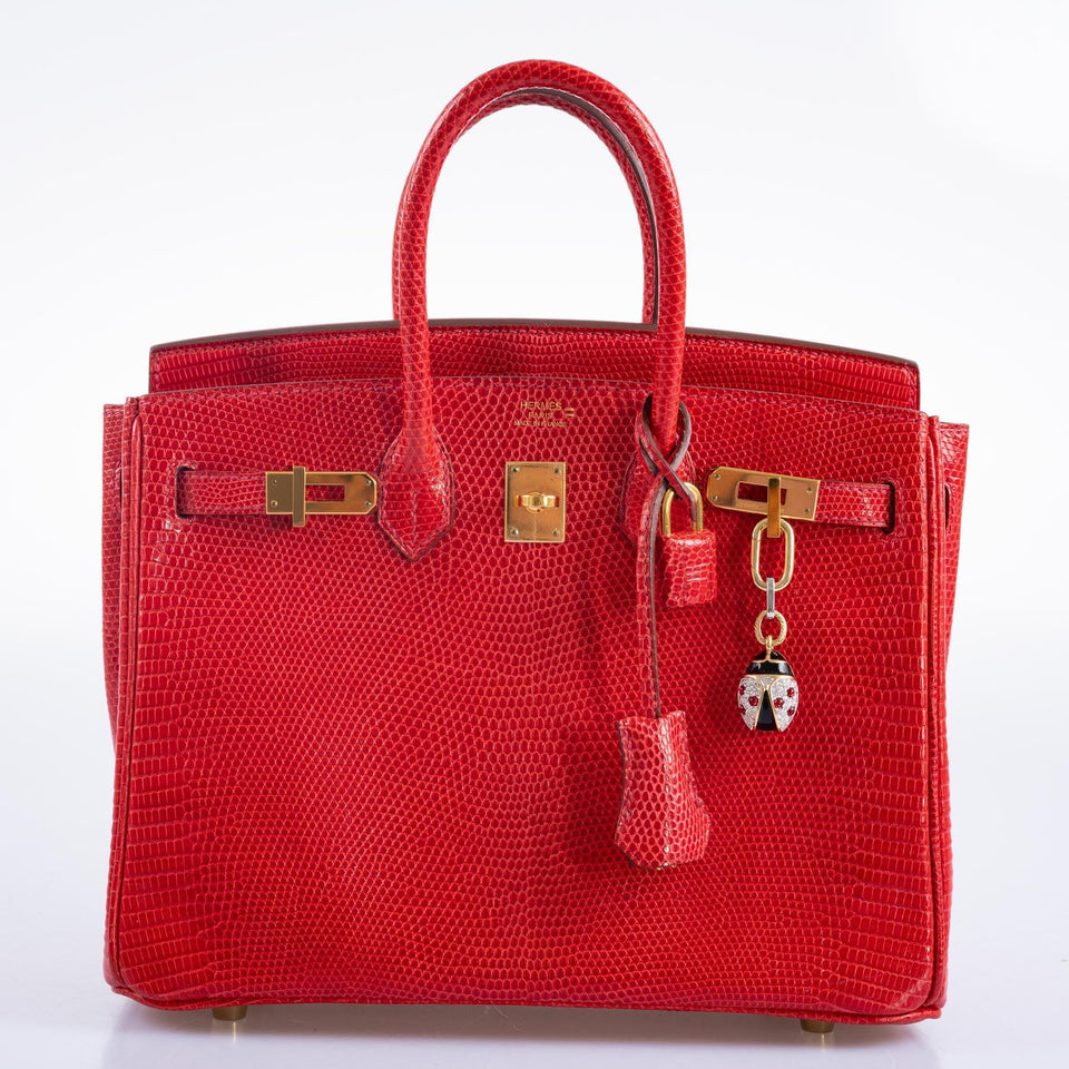 Hermes Birkin 25 Rouge Vif Salvator Lizard Gold Hardware