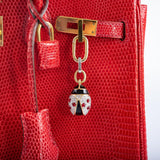 Hermes Birkin 25 Rouge Vif Salvator Lizard Gold Hardware