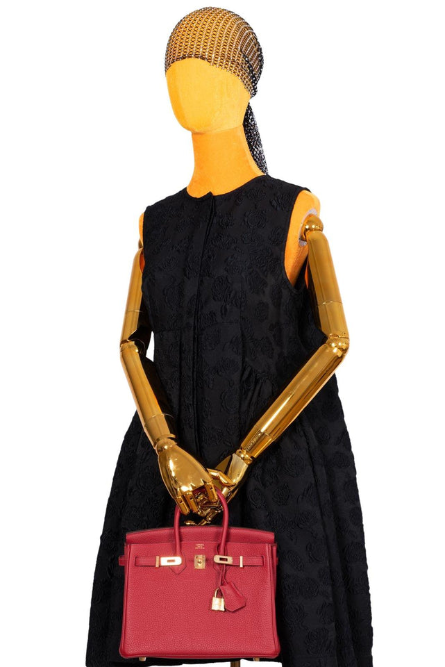 Hermes Birkin 25 Rouge Vif Togo Gold Hardware