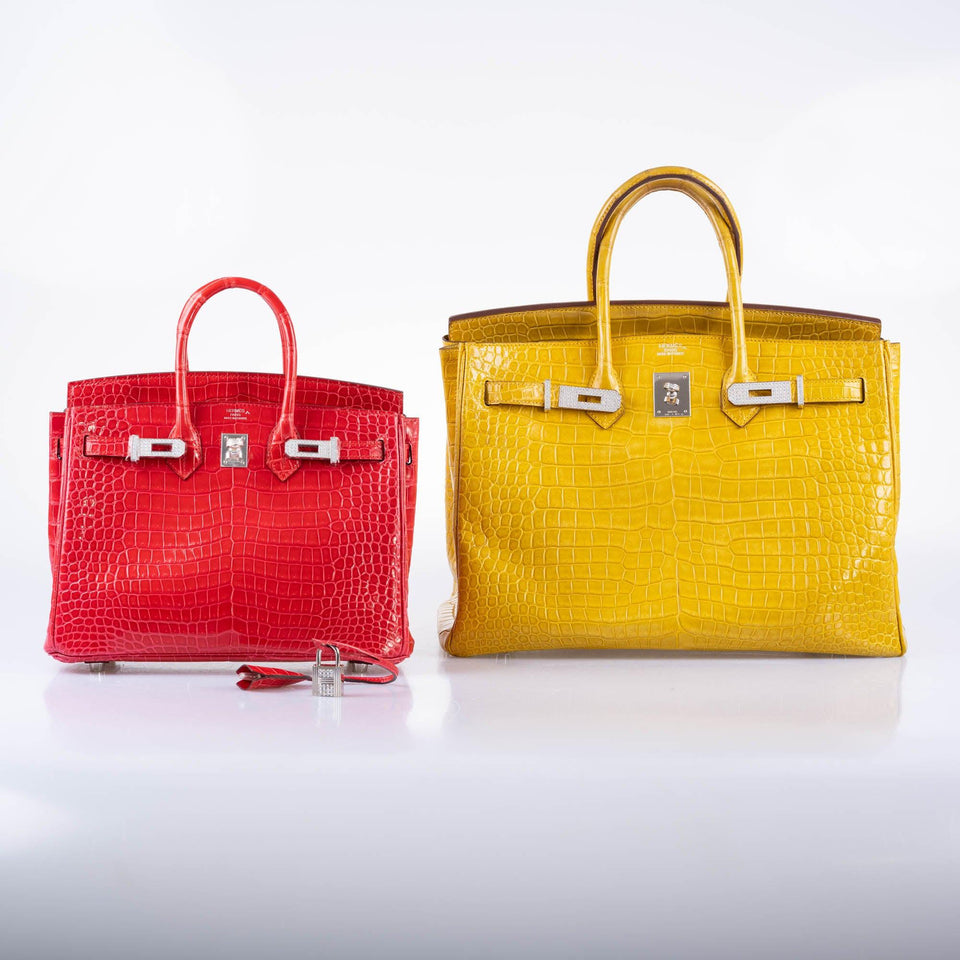 Hermes Birkin 25 Rouge de Coeur Shiny Porosus Crocodile 18K White Gold Hardware & Diamonds