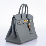 Hermes Birkin 25 Vert Amande Togo Gold Hardware