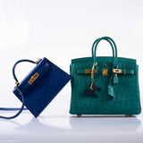 Hermes Birkin 25 Vert Verone Ostrich Gold Hardware - 2019, D