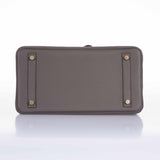 Hermes Birkin 30 Etain Tin Grey Clemence Gold Hardware