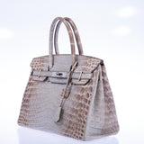 Hermes Birkin 30 Gris Cendre Himalayan Niloticus Crocodile Palladium Hardware