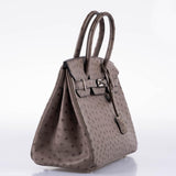 HermesBirkin 30 Gris Tourterelle Ostrich Palladium Hardware