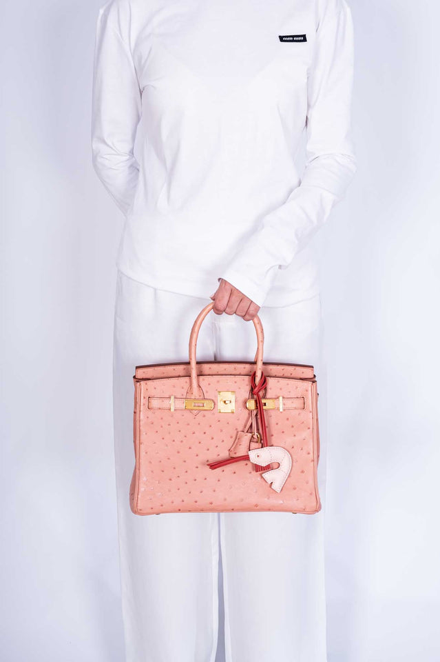 HermesBirkin 30 Terre Cuite Ostrich Gold Hardware