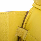 Hermes Birkin 35 Mimosa Matte Alligator Palladium