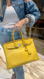 Hermes Birkin 35 Mimosa Matte Alligator Palladium Hardware