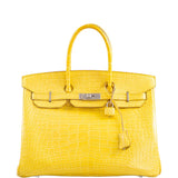 Hermes Birkin 35 Mimosa Matte Alligator Palladium Hardware