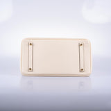 Hermes Birkin 35 Nata Clemence with Gold Hardware