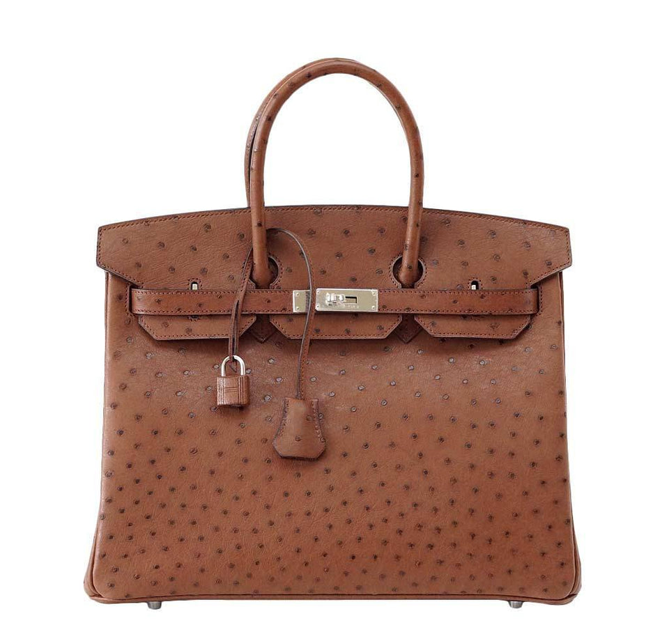 HermesBirkin 35 Ostrich Etrusque Bag PHW