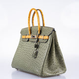 HermesBirkin 35 Special Order Vert Olive & Sable Ostrich Palladium Hardware