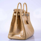 Hermes Birkin 40 HAC Poussiere Porosus Crocodile Palladium Hardware - 2006