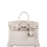 Hermes Birkin Touch 25 Beton Matte Alligator & Togo Palladium Hardware