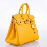 Hermes Candy Birkin 25 Jaune d'Or Epsom and Potiron Permabrass Hardware