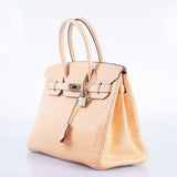 Hermes Dalmatian Birkin 30 Orange H Buffalo Palladium Hardware
