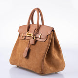 Hermes Grizzly Birkin 25 Gold Grizzly Suede and Swift Gold Hardware