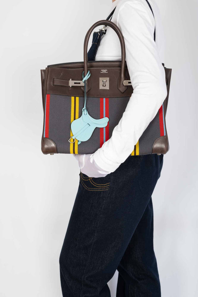 Hermes Jumping Birkin 35 Multicolor Canvas and Ebene Box Palladium Hardware