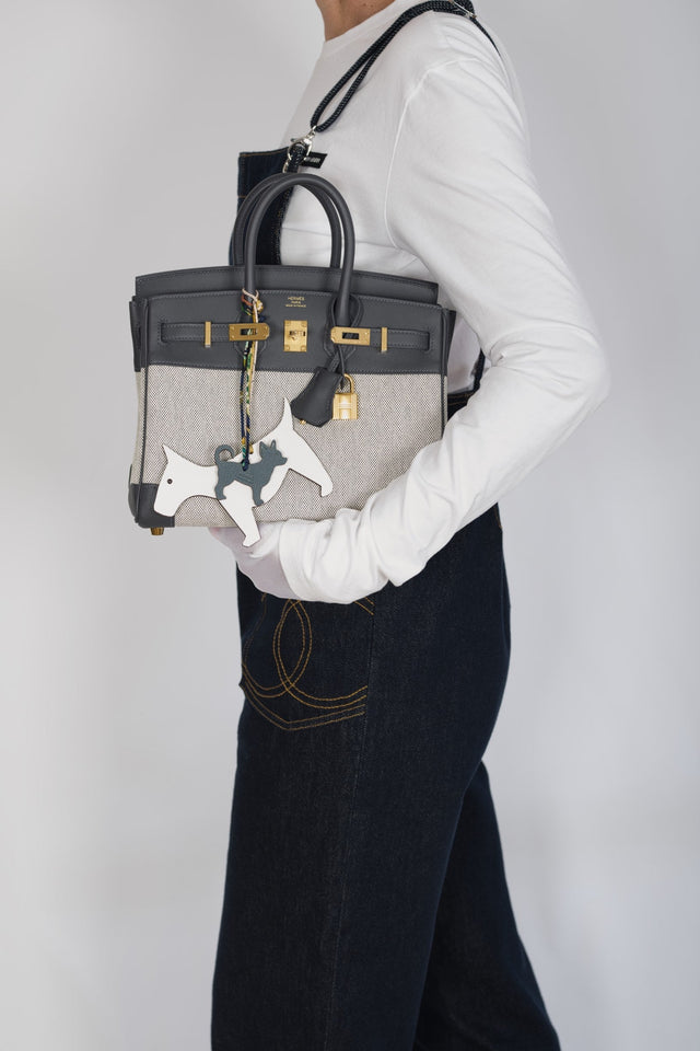 Hermes Limited Edition Birkin 25 in Écru and Ardoise Toile H and Veau Swift Gold Hardware