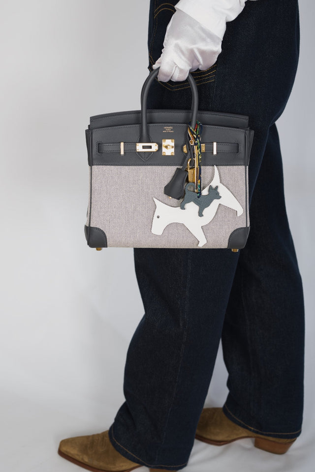Hermes Limited Edition Birkin 25 in Écru and Ardoise Toile H and Veau Swift Gold Hardware