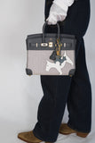 Hermes Limited Edition Birkin 25 in Écru and Ardoise Toile H and Veau Swift Gold Hardware