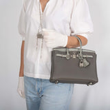 Hermes Touch Birkin 25 Gris Meyer Togo and Gris Cement Matte Alligator Palladium Hardware