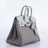 Hermes Touch Birkin 25 Gris Meyer Togo and Gris Cement Matte Alligator Palladium Hardware