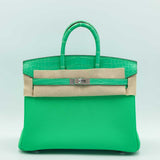 Hermes Touch Birkin 25 Vert Comics Matte Alligator and Togo Palladium Hardware