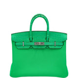 Hermes Touch Birkin 25 Vert Comics Matte Alligator and Togo Palladium Hardware
