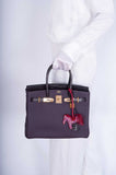 Hermes Touch Birkin 30 Prunoir Togo and Raisin Matte Alligator Rose Gold Hardware